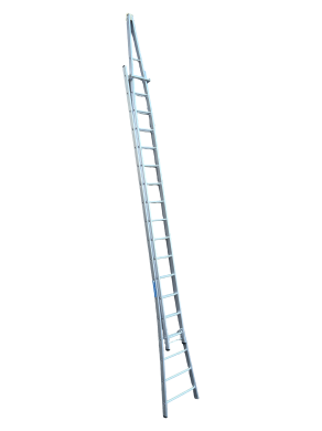 Pointer Ladder Window Cleaning Ladders DWC | Ramsay Ladders