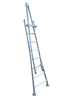 Pointer Ladder Window Cleaning Ladders DWC | Ramsay Ladders